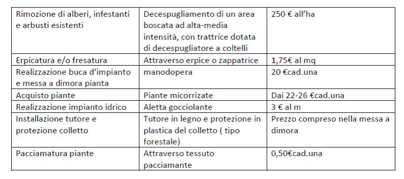 Business plan tartufaia 05 picture